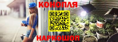 jwh Можга